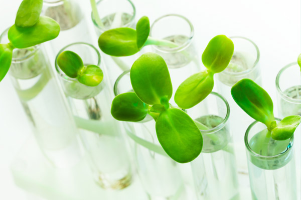 Better Biomass certificaat voor FrieslandCampina en Empyro